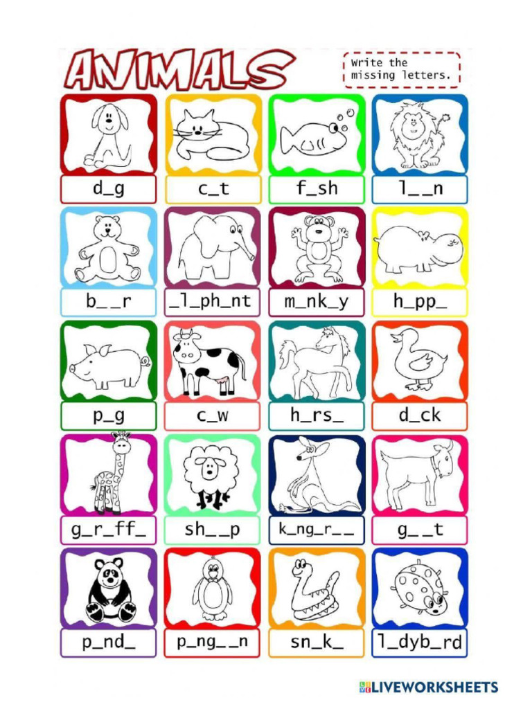 Animals | PDF