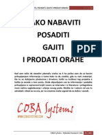 Kako Nabaviti Posaditi Gajiti I Prodati Orahe