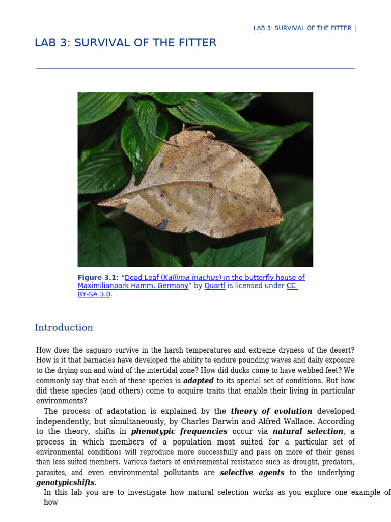 Lab 3 (Survival of The Fitter) | PDF