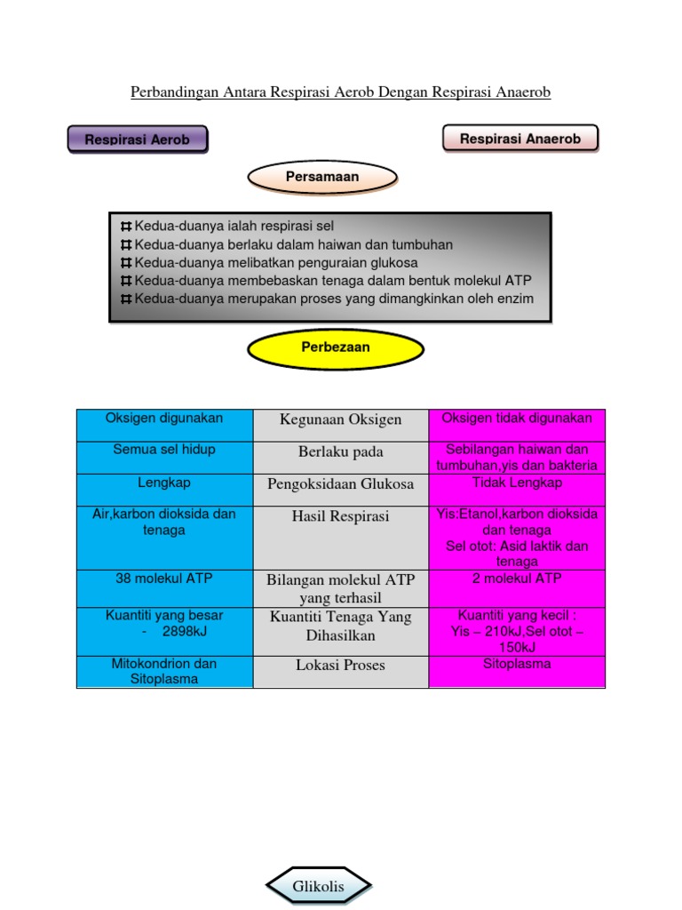 Respirasi Dan Fotosintesis