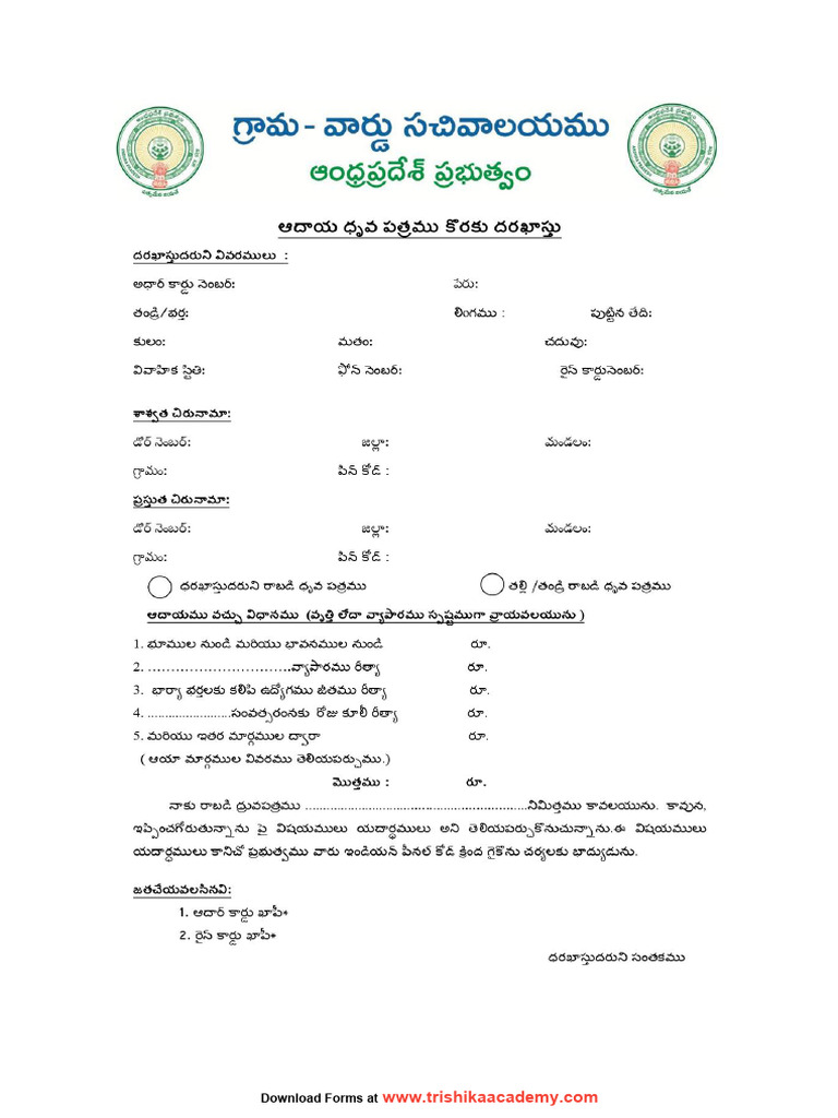 Income Application | PDF