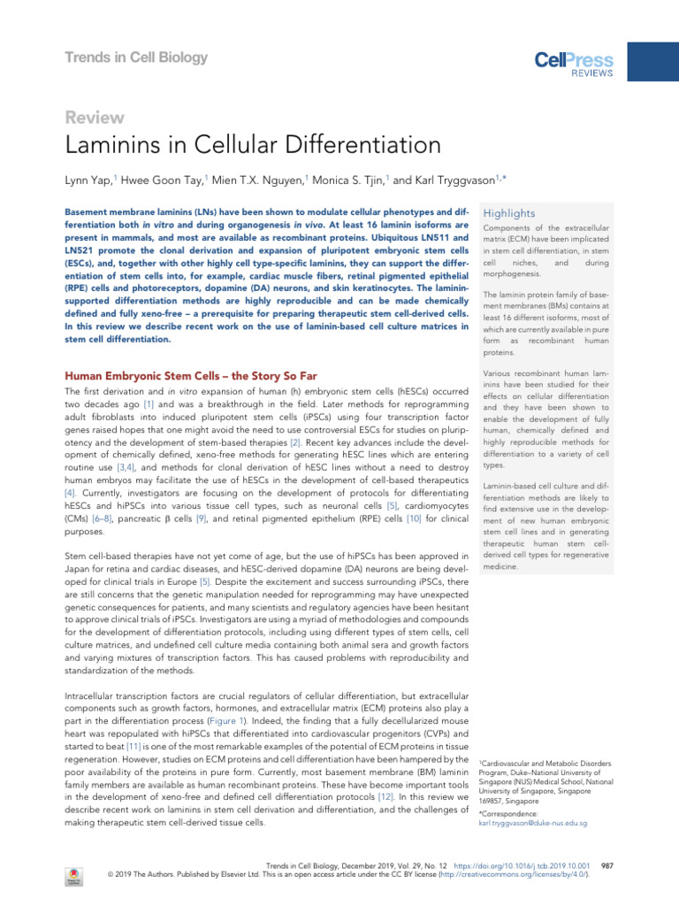 Laminins in Cellular Differentiation (1) | PDF | Embryonic Stem Cell ...