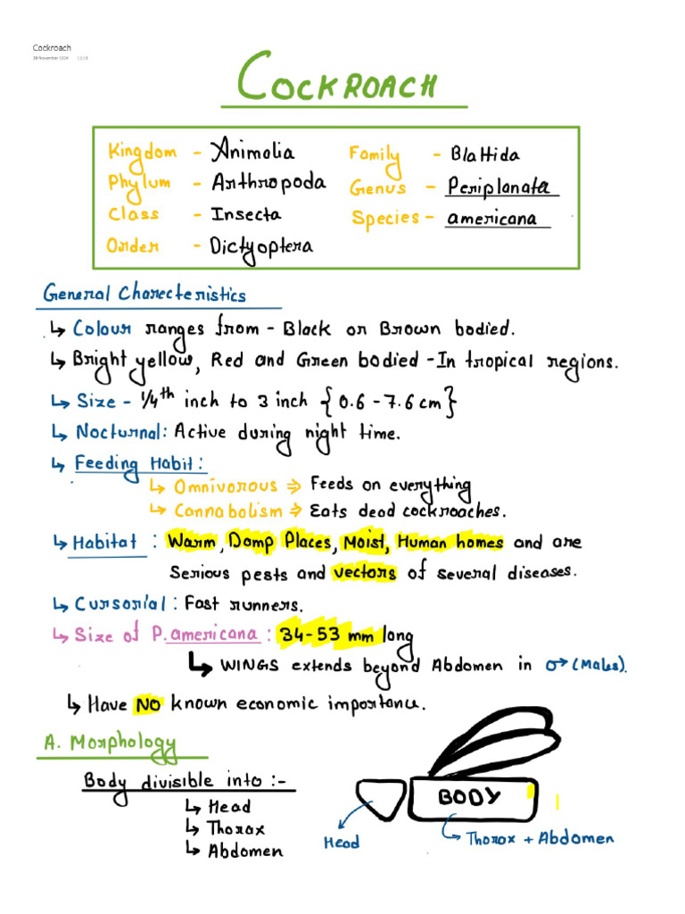 11. Cockroach (Full)_new2 | PDF