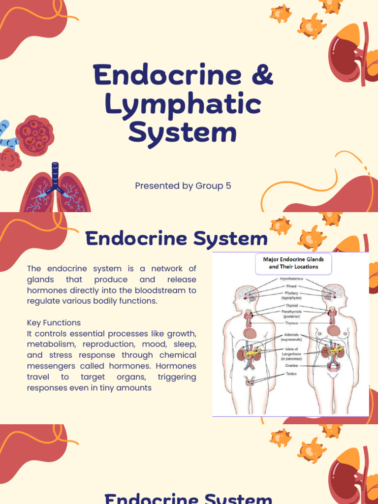 Endocrine-Lymphatic-System-1 | PDF | Lymphatic System | Lymph Node