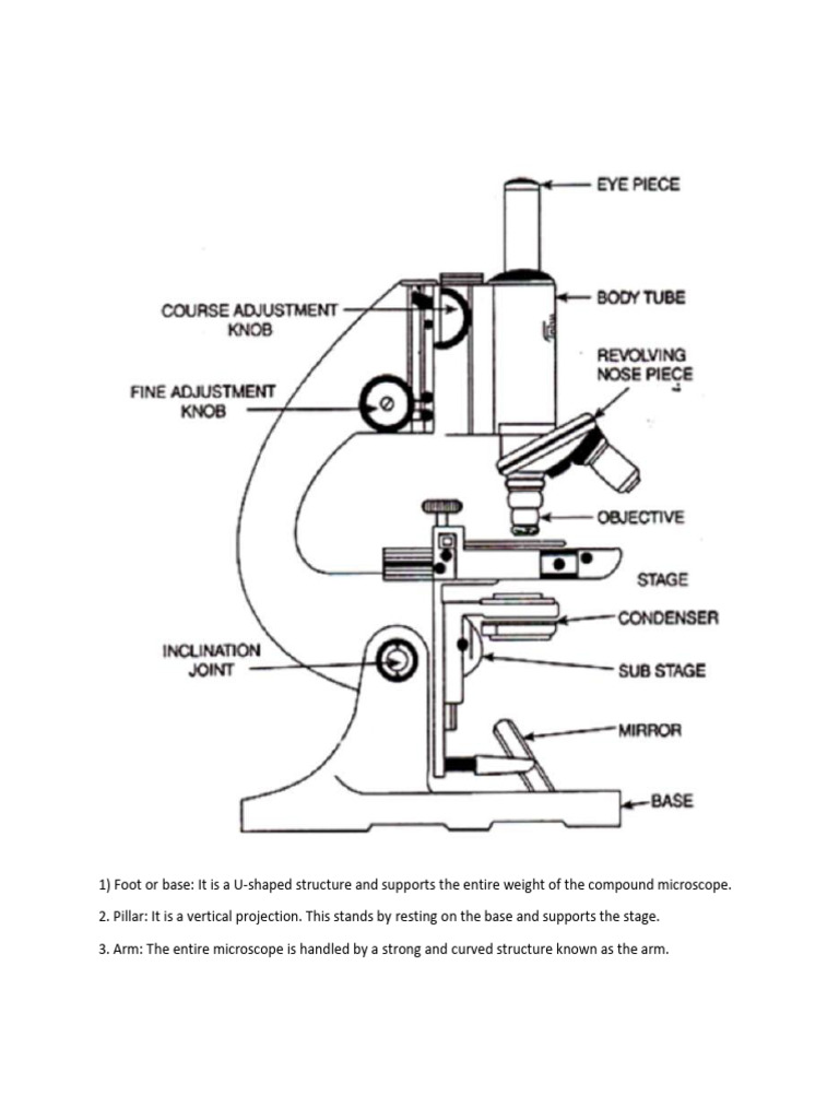 Experiment 1 (Draw Labels Different Parts of Microscope)-1 | PDF