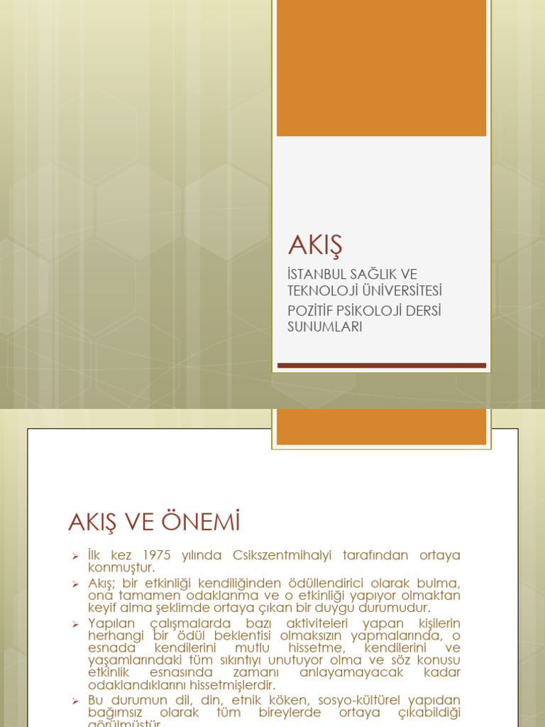 AKIŞ | PDF