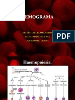 4.HEMOGRAMA