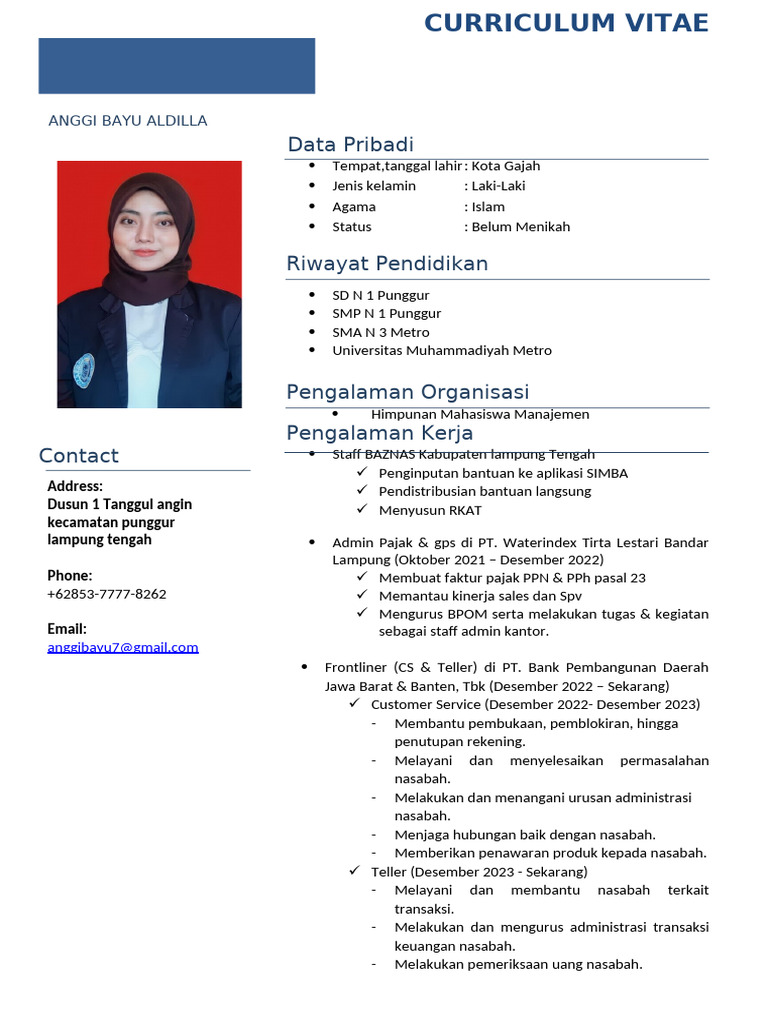CV Anggi Bayu | PDF