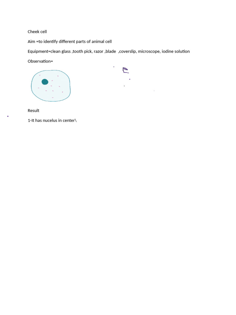 Cheek Cell | PDF