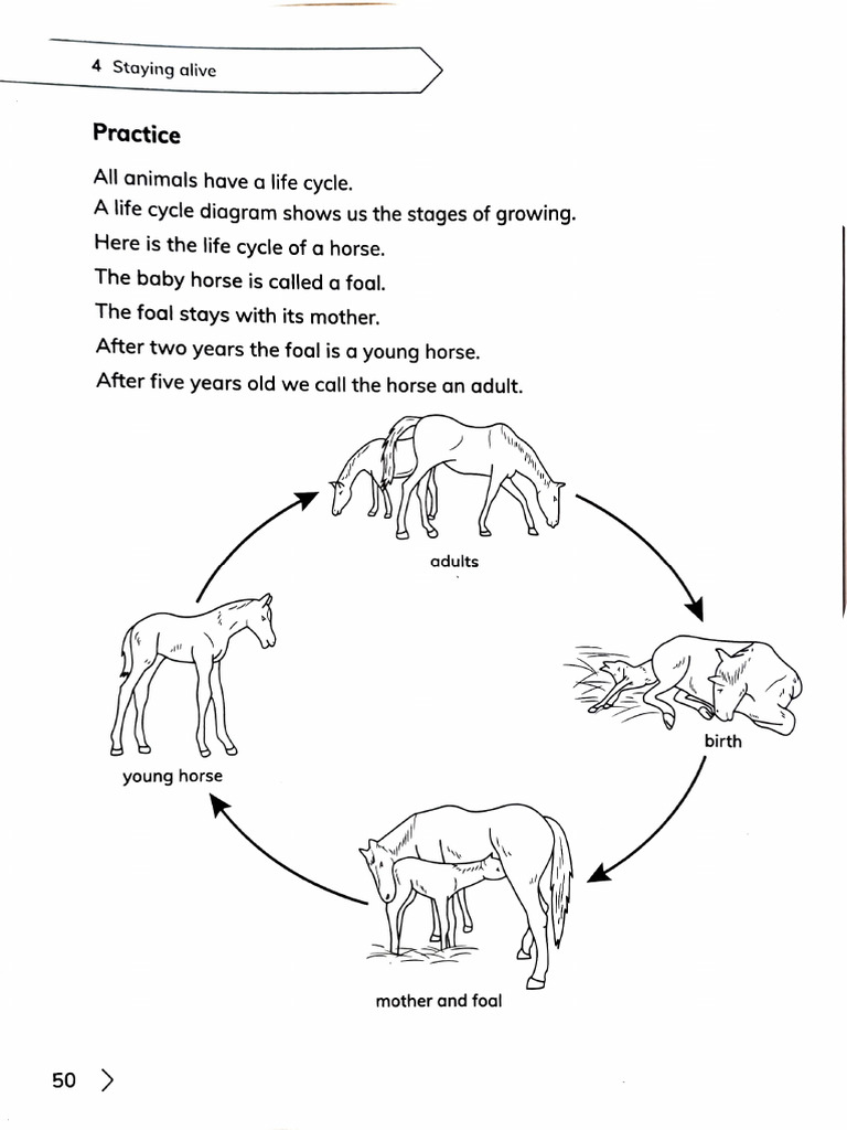 Homework Y3.25 Feb 2026 | PDF