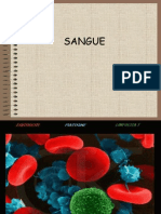 3. SANGUE - HEMÁCIAS