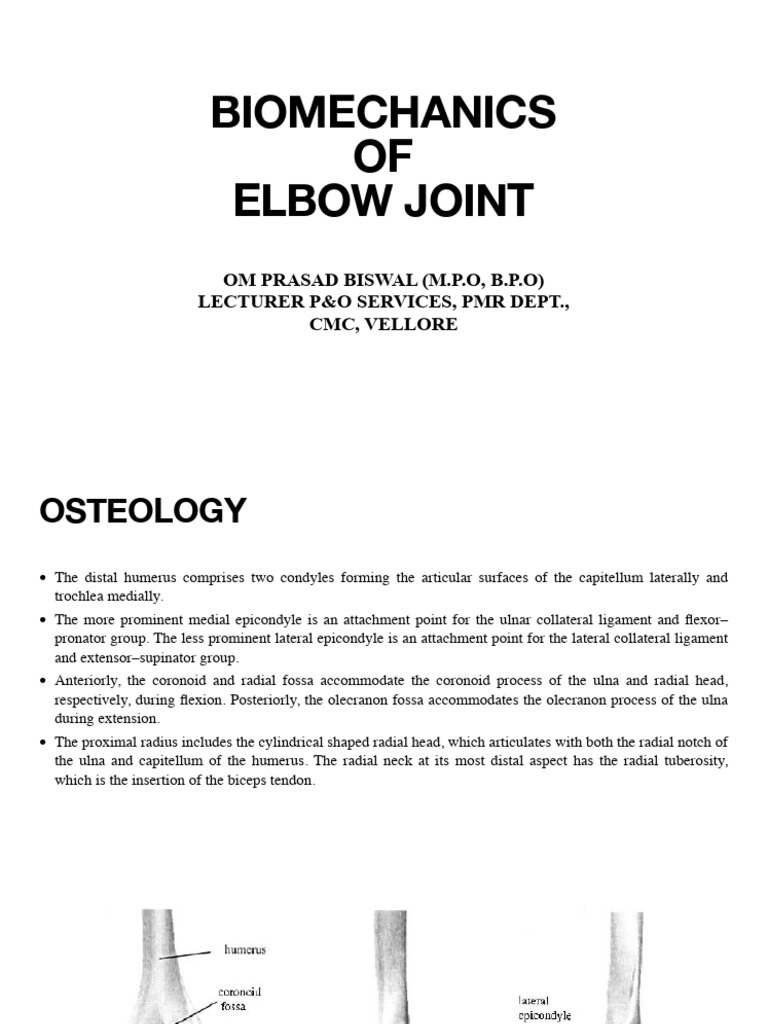 Elbow Biomechanics | PDF | Elbow | Anatomical Terms Of Motion