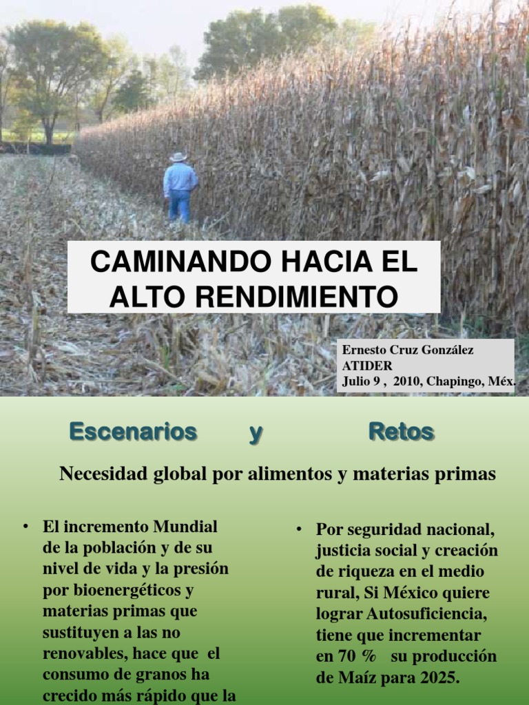 El Programa Estrategico de Maiz de Alto Rendimiento (PROEMAR) - Ernesto ...