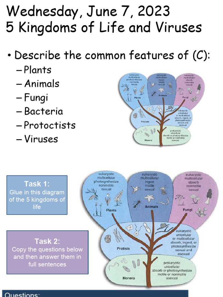 Features of Organisms Afi | PDF | Cell (Biology) | Plants