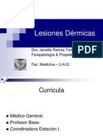 Lesiones Dermicas