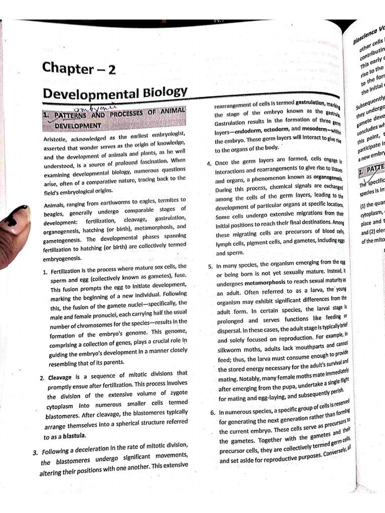 Dev | PDF