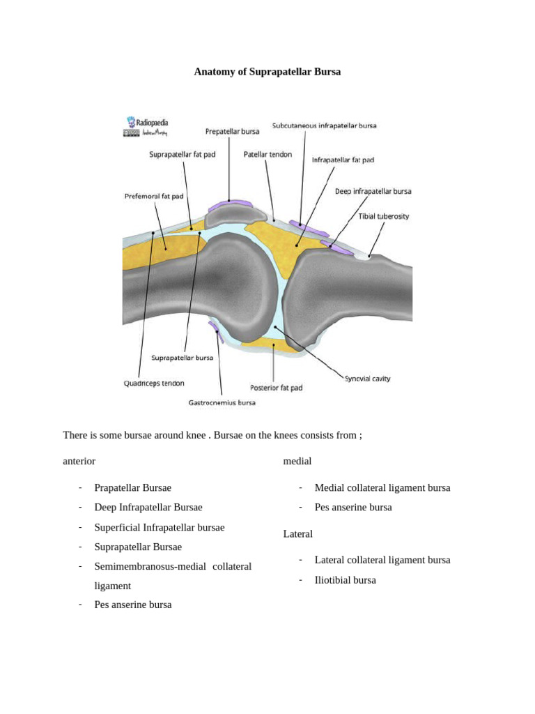 Gangguan Pada Suprapatellar Reccess (1) | PDF | Knee | Clinical Medicine