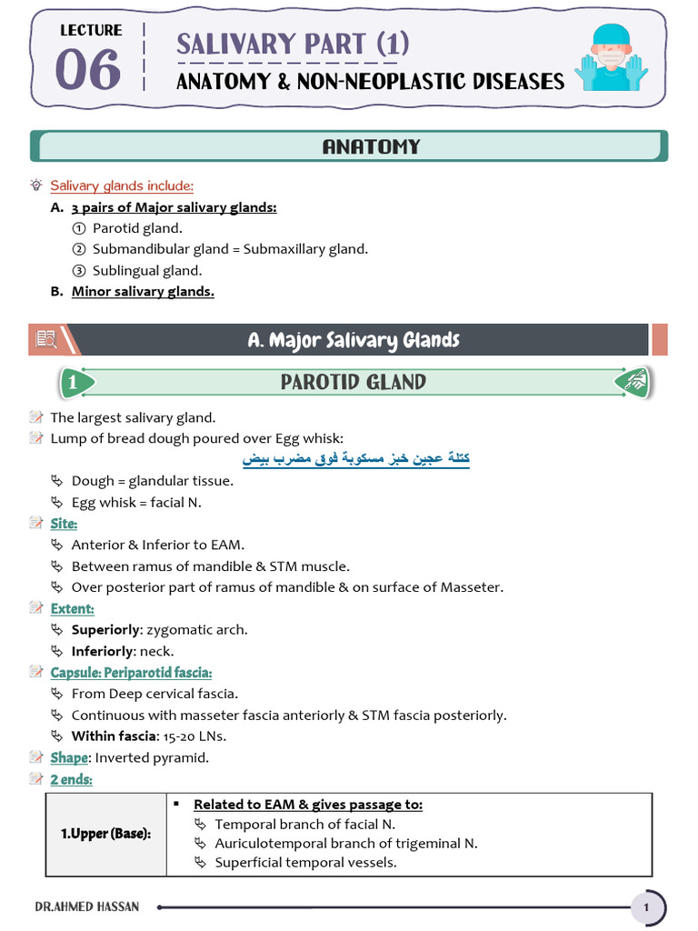 Lect 6 (Salivary Part 1) | PDF
