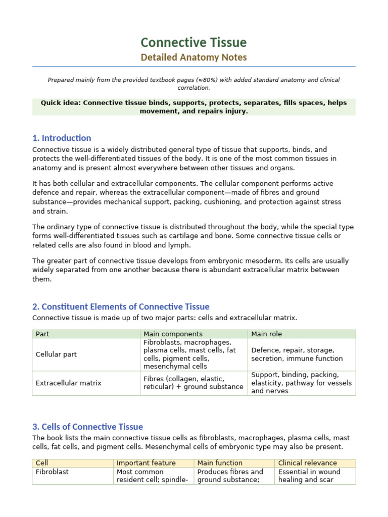 Connective Tissue Detailed Notes | PDF | Connective Tissue ...