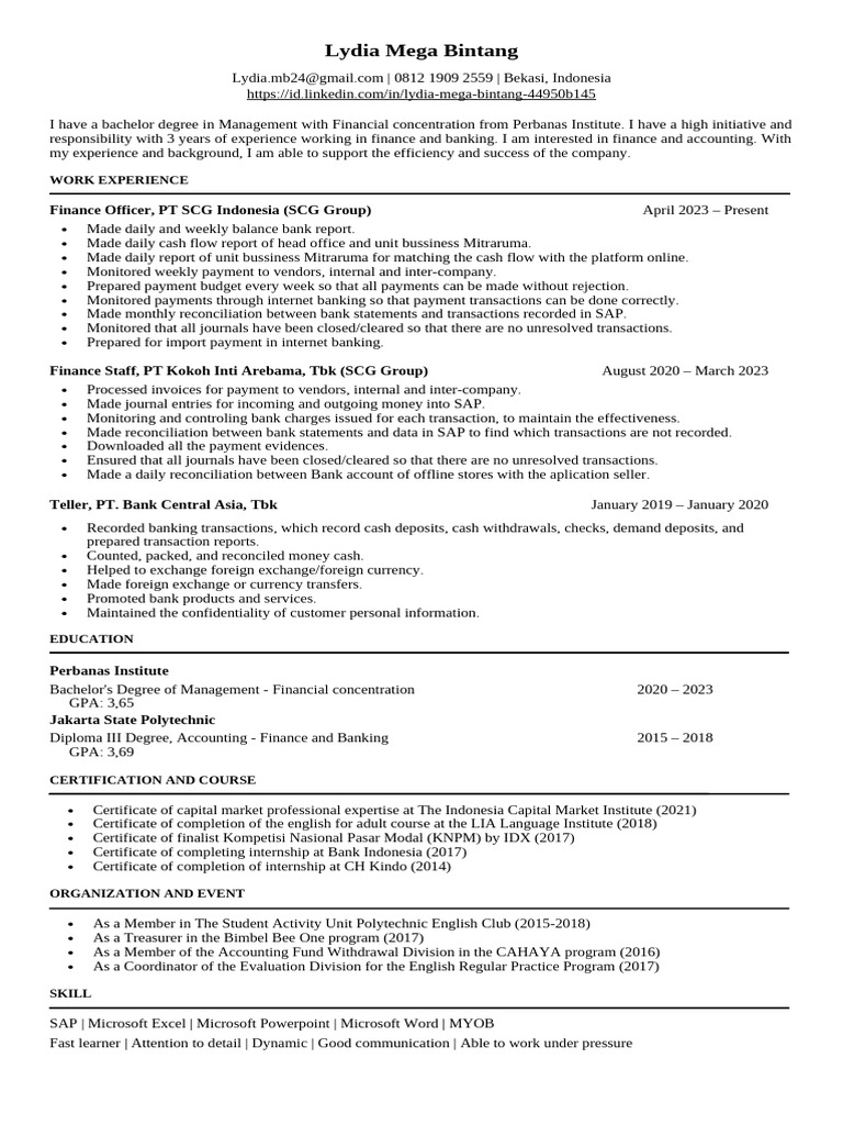 CV_Lydia Mega Bintang | PDF