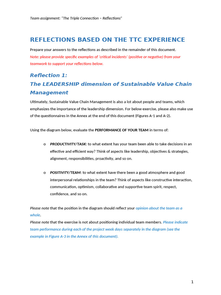 TTC - Team Reflections 2 | PDF | Leadership | Team Building