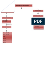 Mapa Concetual Sistema de Numeracion