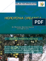 hidroponia_organica