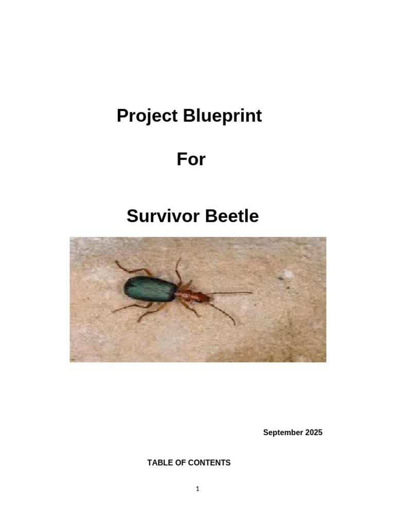 BLUEPRINT | PDF