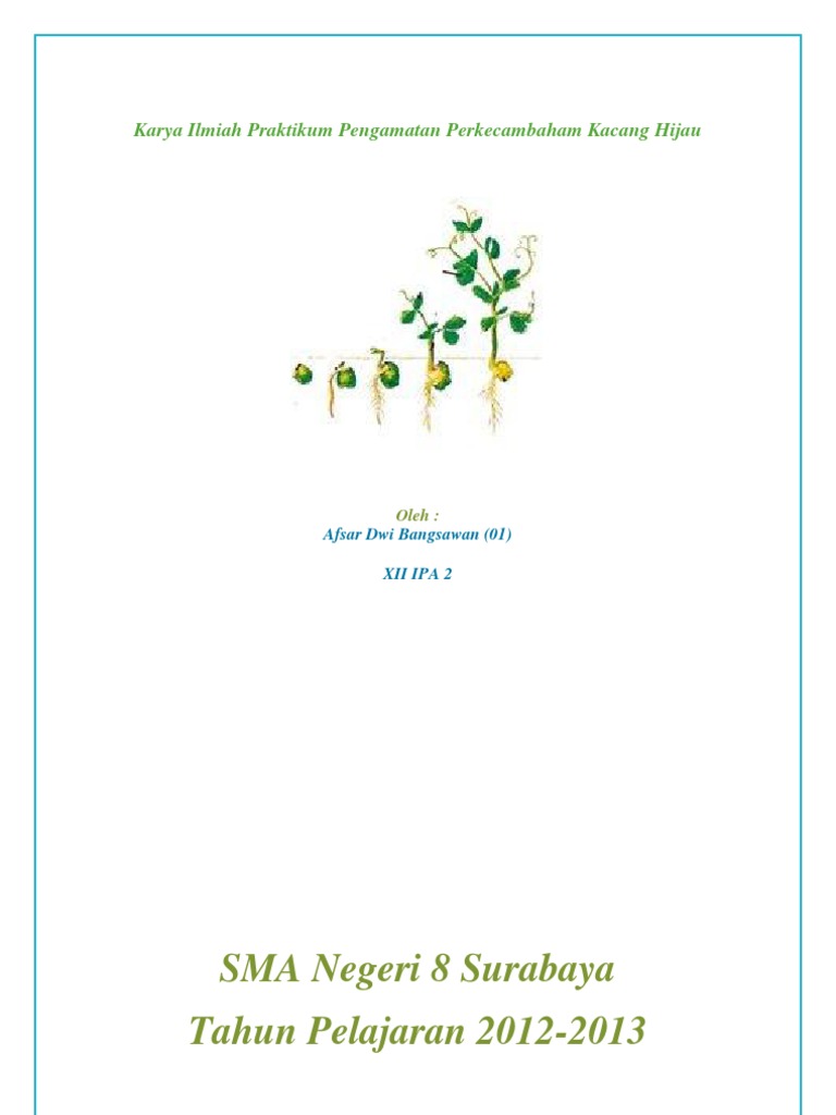 Karya Ilmiah Praktikum Pengamatan Perkecambaham Kacang Hijau By Afsar