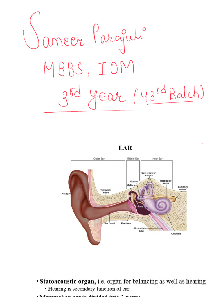 Sense Organ PDF | PDF | Ear | Cornea