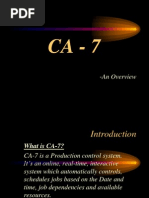 Ca 7