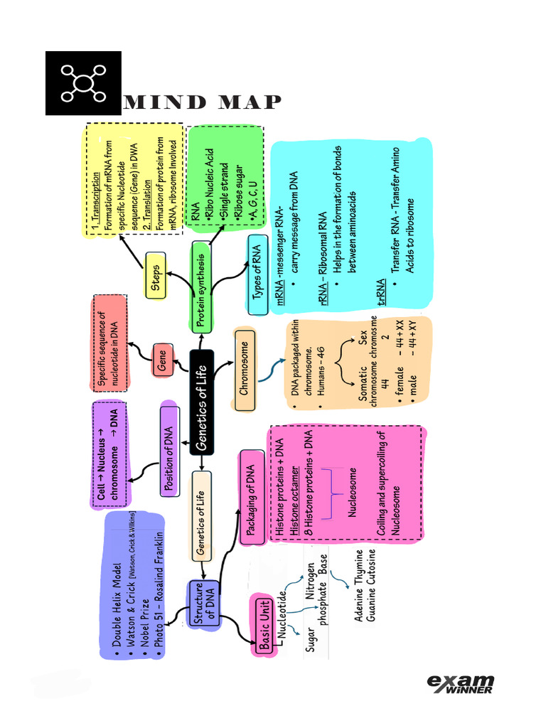 MIND MAP Biology SSLC | PDF
