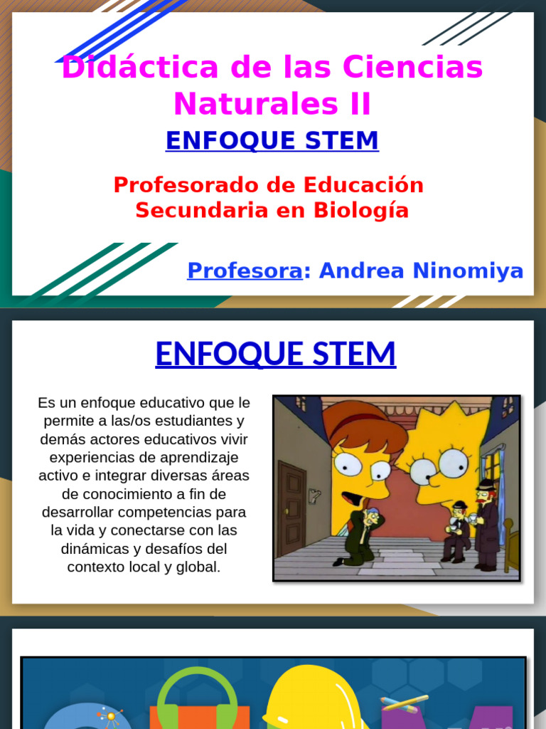 Enfoque STEM (1) | PDF | Cognición