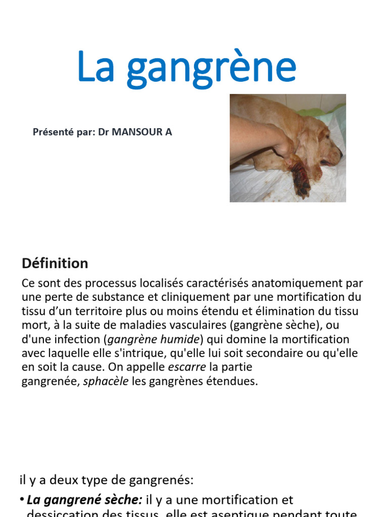 La Gangrene | PDF | Médecine | Spécialités médicales