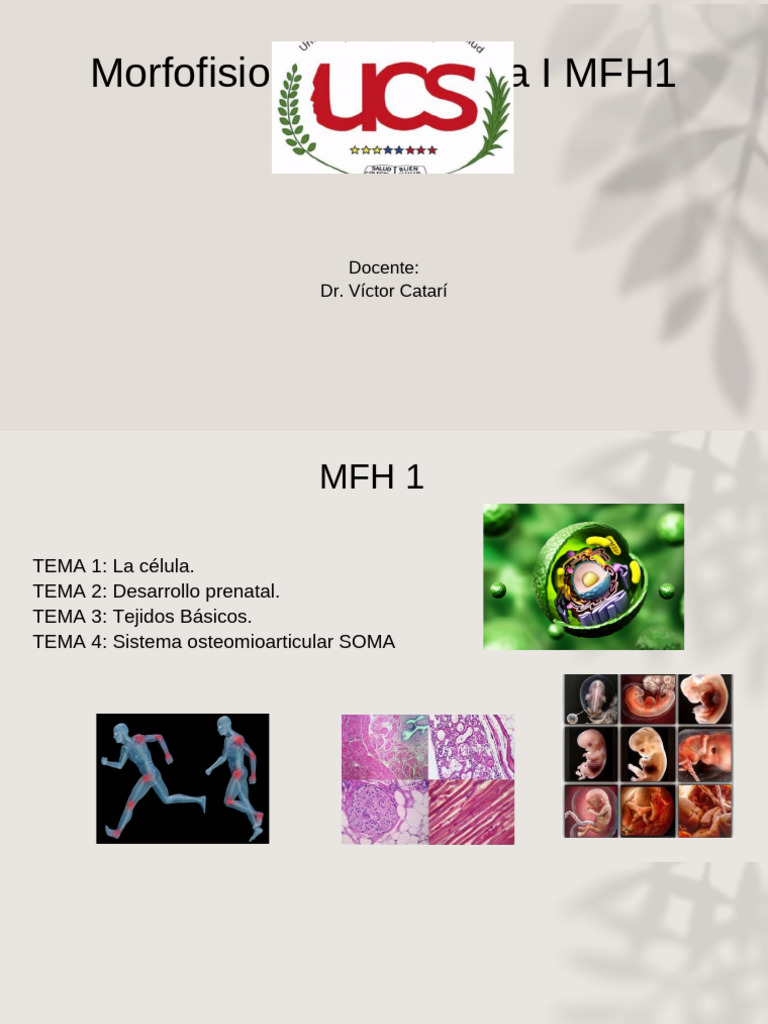 clase 1 MFHI.pptx_20240116_154956_0000 | PDF