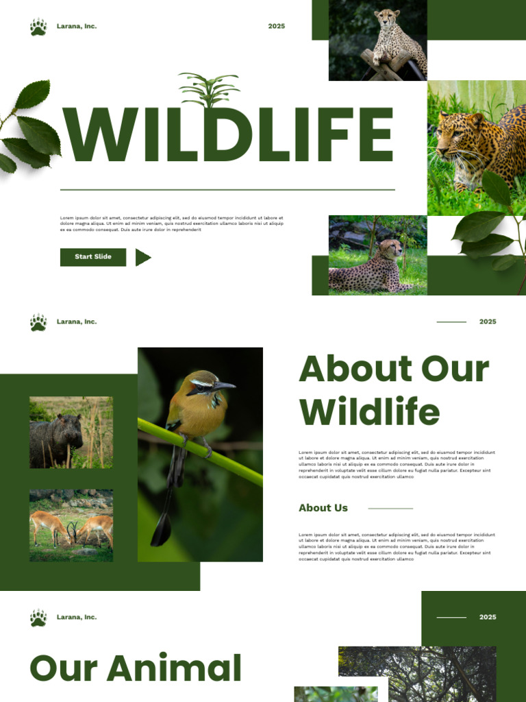 Green Modern Wildlife Presentation 20260401 121731 0000 | PDF