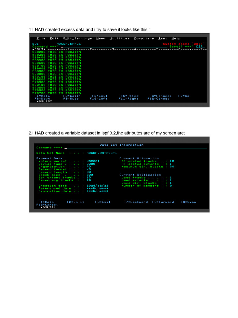 Mainframe Test1 | PDF