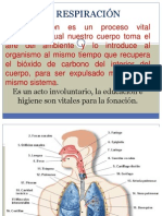 Mecanismo de La Respiracion