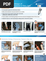 Injection Techniques for Dairy Cattle | PDF | Injection (Medicine ...