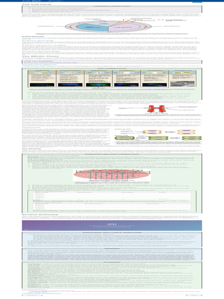 The Cell Cycle Biology I | PDF