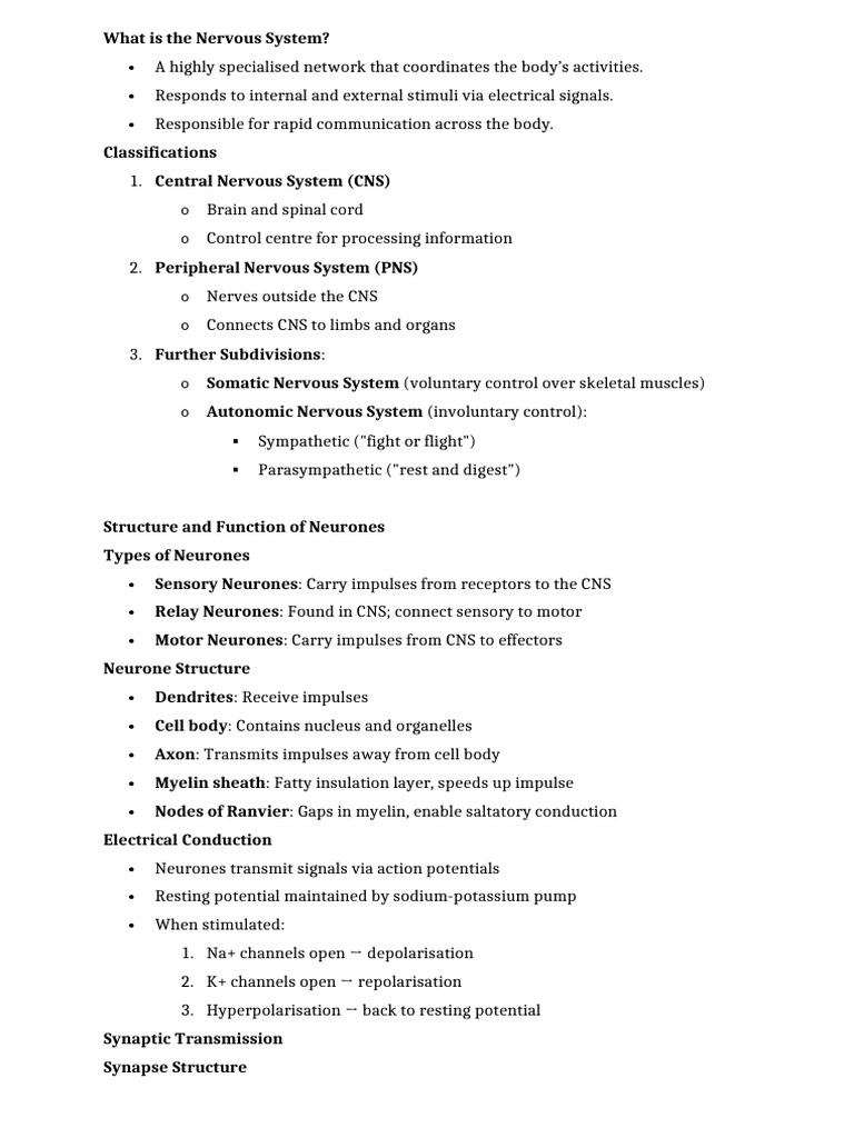 Nervous System | PDF | Nervous System | Neuron