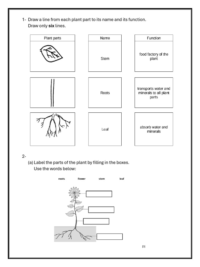 Grade 4 Block 5 Session 1 Homework | PDF