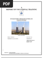 Download Training Report Npcil Rapp Rawatbhata by rakesh535 SN102169527 doc pdf