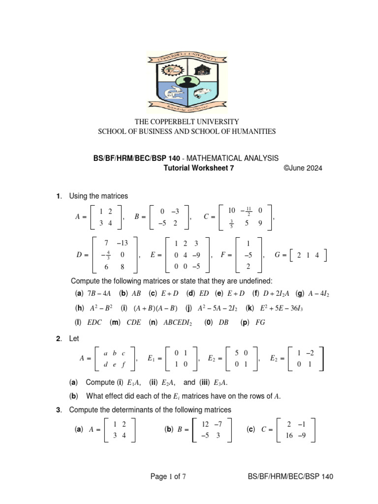 BS 140 Worksheet 7 (Updated) 2024 | PDF | Matrix (Mathematics) | Algebra