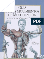 Ejercicios para los diferentes músculos del cuerpo - Gimnasio 