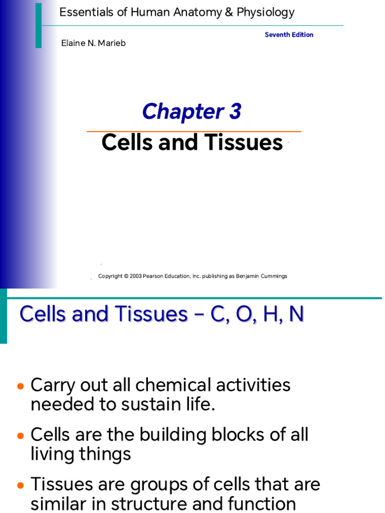 Chapter 3 Cells and Tissues | PDF