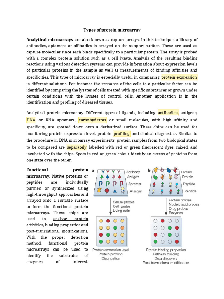 Types of Protein Microarray | PDF | Proteins | Biochemistry