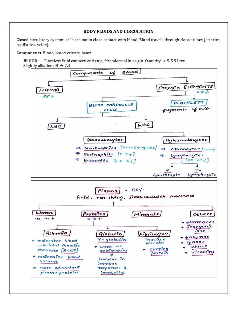 +1 Body Fluids and Circulation | PDF