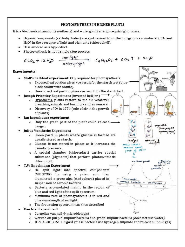 Photosyntheisis Full Chapter Notes | PDF | Photosynthesis | Metabolism