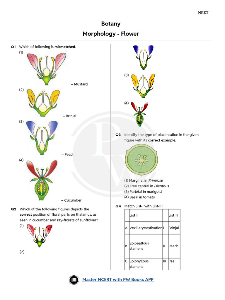 Morphology Flower Practice | PDF | Petal | Flowers